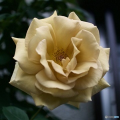 863903BB-F863-4D53-98F8-4D43A1802A62