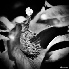 B83DA023-CF2C-4E73-A156-6C705B797836