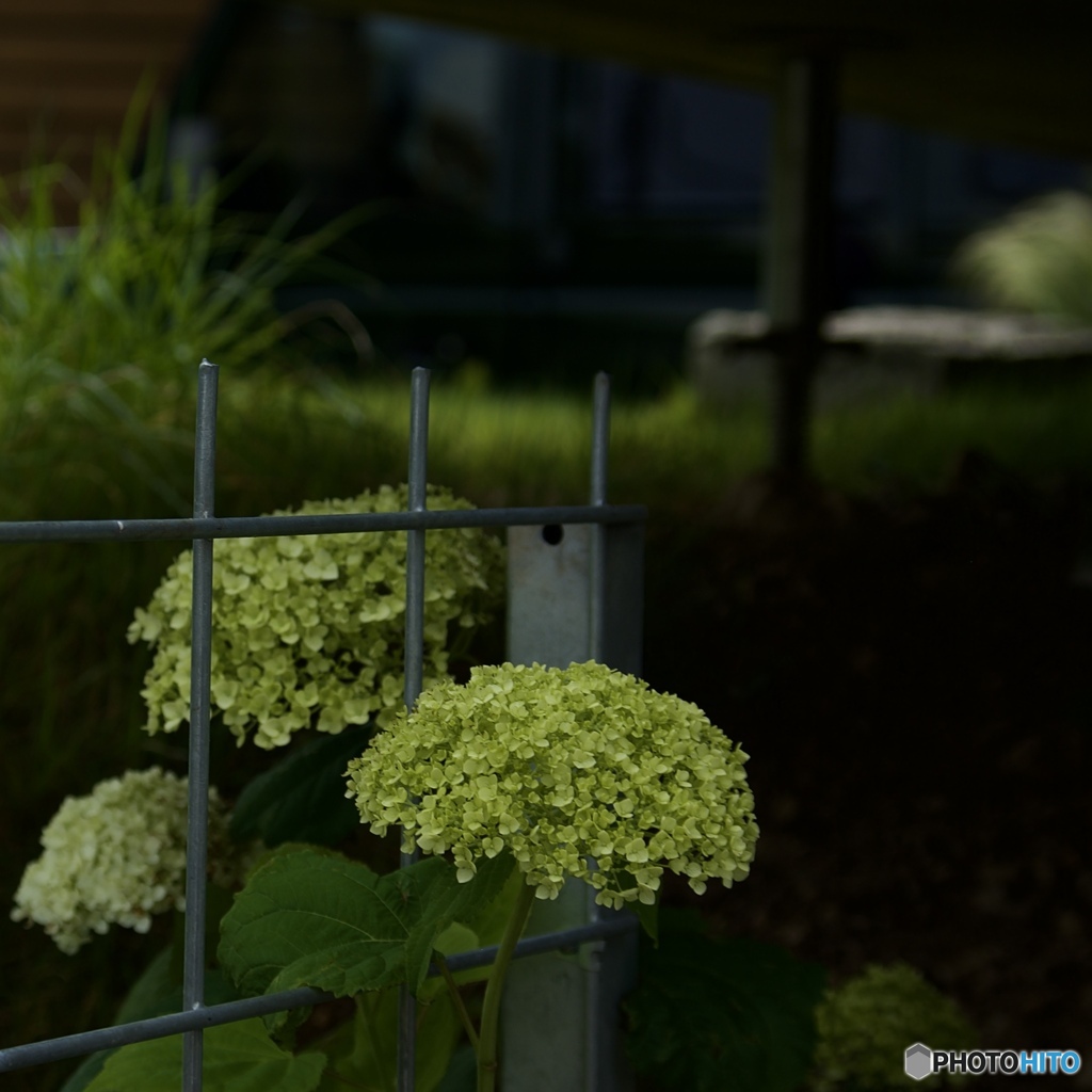 4498A493-B373-44BB-92C1-0959DBEAFAD2