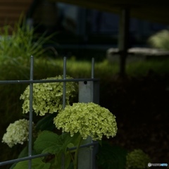 4498A493-B373-44BB-92C1-0959DBEAFAD2