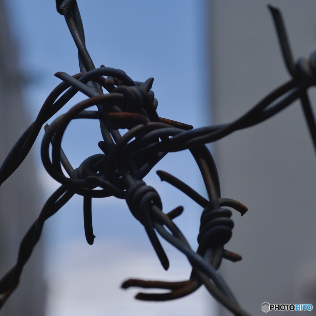 D3FF4BDE-4B7F-4FA7-88DD-E00094E674A1