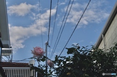 56C5BEA7-6931-4896-8E6D-152575C3160D