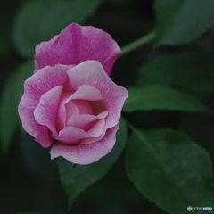 D8C3814A-EE44-4197-AA24-AEB062ABCF4D