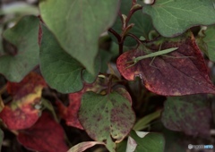 53CB9100-5F42-44B8-AEA2-D1145A57FF2F