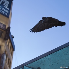 14FD26A9-8010-4724-8EC1-F2D82C04FDD4