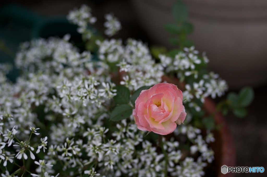 2AF8671D-6A79-42D2-B0E7-801CCFD12104