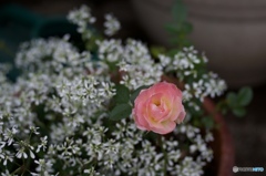 2AF8671D-6A79-42D2-B0E7-801CCFD12104