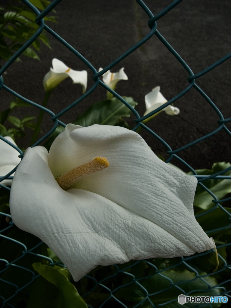 ED71B275-83B5-4478-BC05-C2897F7AA7C7