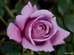7F66739B-25A5-430D-8C79-B5A08A5D7B20