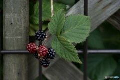 1D68D674-214D-4B61-821E-99ACA459C7B8