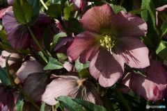 A3B04EEA-9603-4FA5-9C44-6319BBDFA4A2