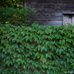 EA61761F-7C1D-4465-9B32-5E8E9757E9FA