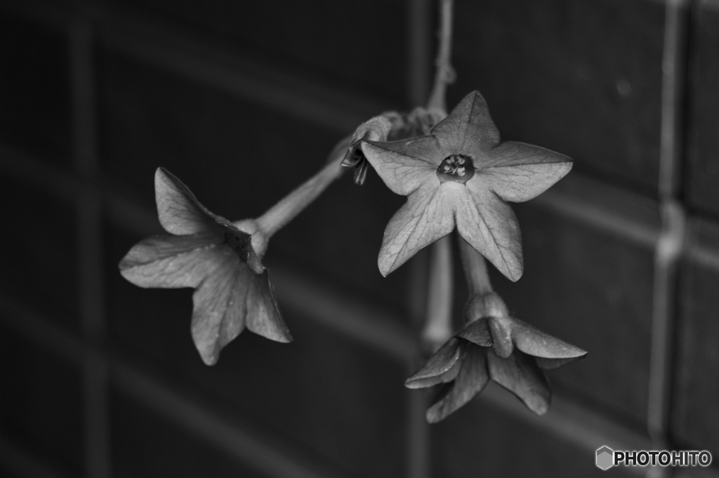 1044C9D7-C0F7-48C1-BE2C-E328D9D3D247