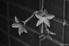 1044C9D7-C0F7-48C1-BE2C-E328D9D3D247