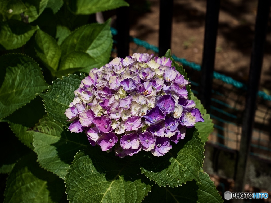 C8B21A59-C699-43DF-9777-BCFDE7BBC671