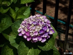 C8B21A59-C699-43DF-9777-BCFDE7BBC671