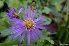 047FC548-C659-46F6-B47F-6E557DD4F808