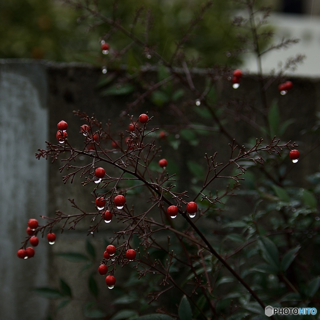 I don't mind the rain.