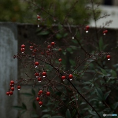 I don't mind the rain.