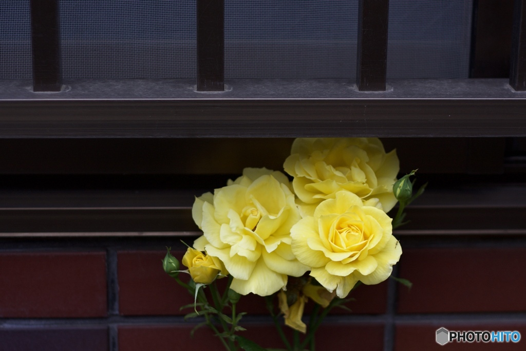 0A79B6D2-A7A3-4F0D-91E7-4377082D0862