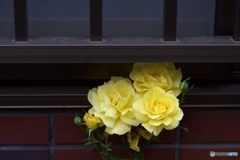 0A79B6D2-A7A3-4F0D-91E7-4377082D0862