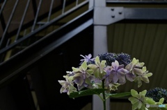 A73E102F-73B4-4D90-8AE6-A491638C6C1D