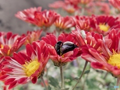 0905233C-45E0-46E9-A214-8960FE5948E4