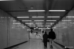 89EF1B61-730E-4E09-9425-D16B97B6CD6C