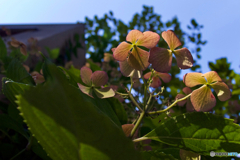 0710851B-1DE4-45A1-8EA5-D586E04BCD9F