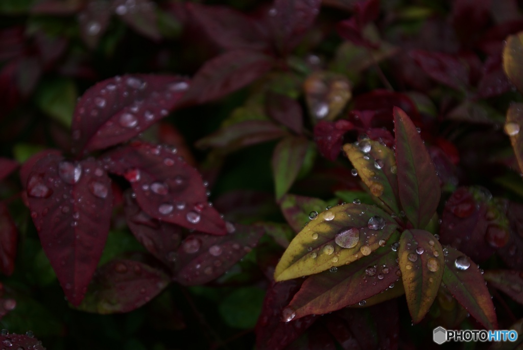 8B75907D-1E54-425D-9237-8F275028EC59