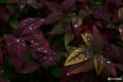 8B75907D-1E54-425D-9237-8F275028EC59