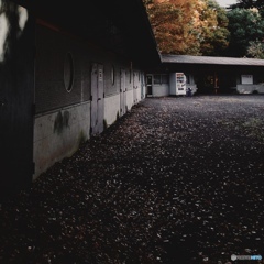 6AD741AE-44B9-4FE7-887F-93CF544D21F1