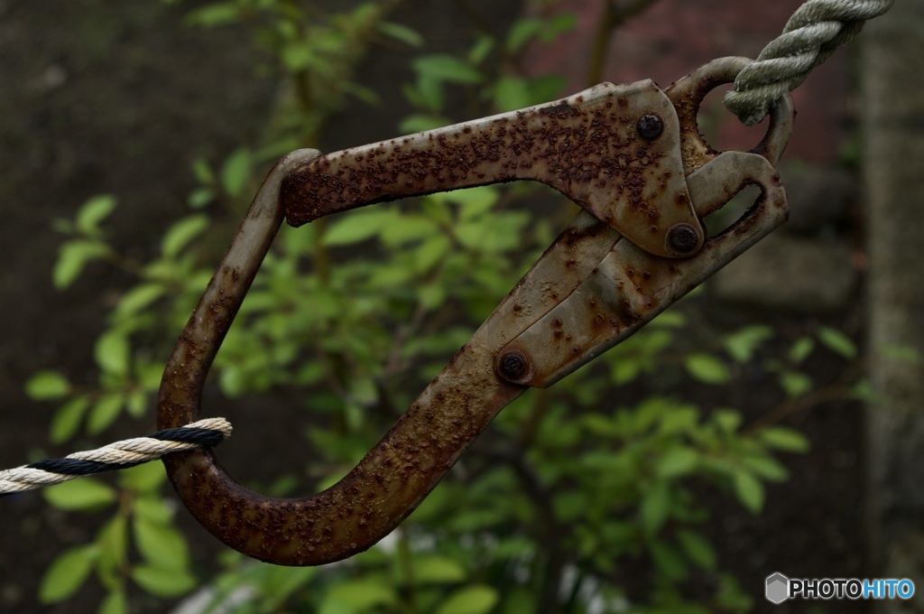 0199BB87-A587-4388-9E65-2C3E5DB6741C