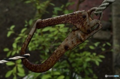 0199BB87-A587-4388-9E65-2C3E5DB6741C