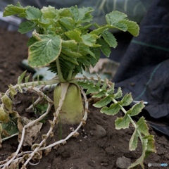 1EB446F3-5F86-45A3-AB14-67A10AD8B9EE