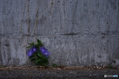 2B782B1F-B562-4341-AEBB-73D95EE2AAFB