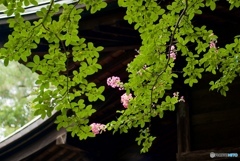 7D39AD04-8830-4D31-A60C-288A64E79AB5