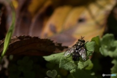 90592C63-4625-4F89-9F0E-CAE60FEBF22A