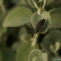 08B5EEC8-5004-4375-AF1A-0D0512977912