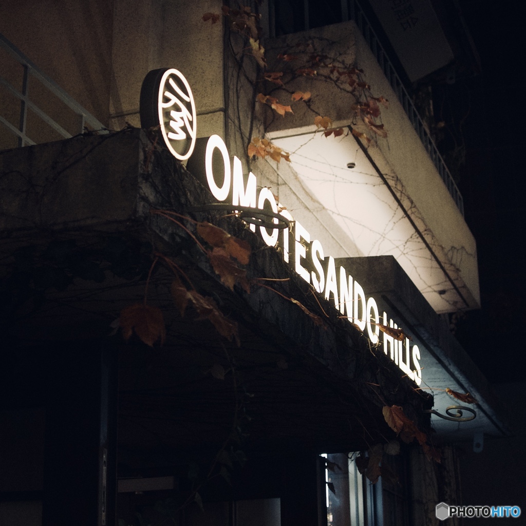 91341010-20B8-4A09-8FB7-559D77B17059