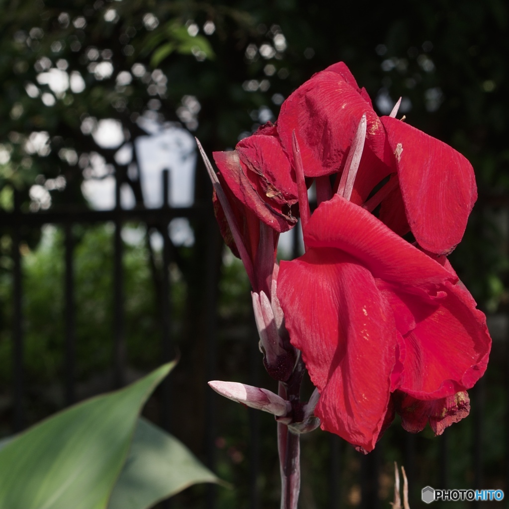 33DD7EA3-4EE1-4536-8A10-74C33640F45C