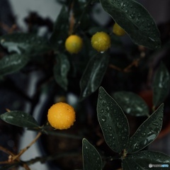 8CB8099D-8C79-49A2-B974-729572576358