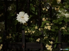 A5093585-24F0-4BAD-899C-493B43F35ACF