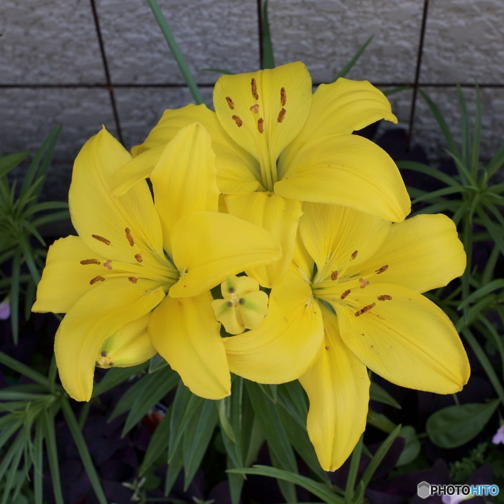 8CD2986F-630B-4A37-AC34-AAD9E0A365D6