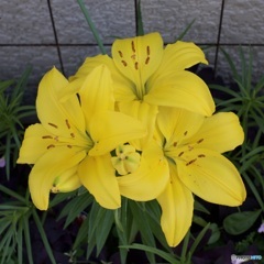 8CD2986F-630B-4A37-AC34-AAD9E0A365D6