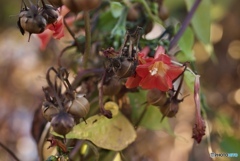 FA2F73B2-D160-4F35-B37E-E929C6C92BAD