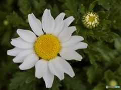 83219022-E953-4CC6-B6A4-262669FDEE26