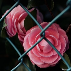 9F1F58FA-EB78-44E9-B6FF-2DBDA469FFD6