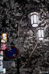 DA98393F-8208-4B7F-9B01-A4D4EB37BE0F