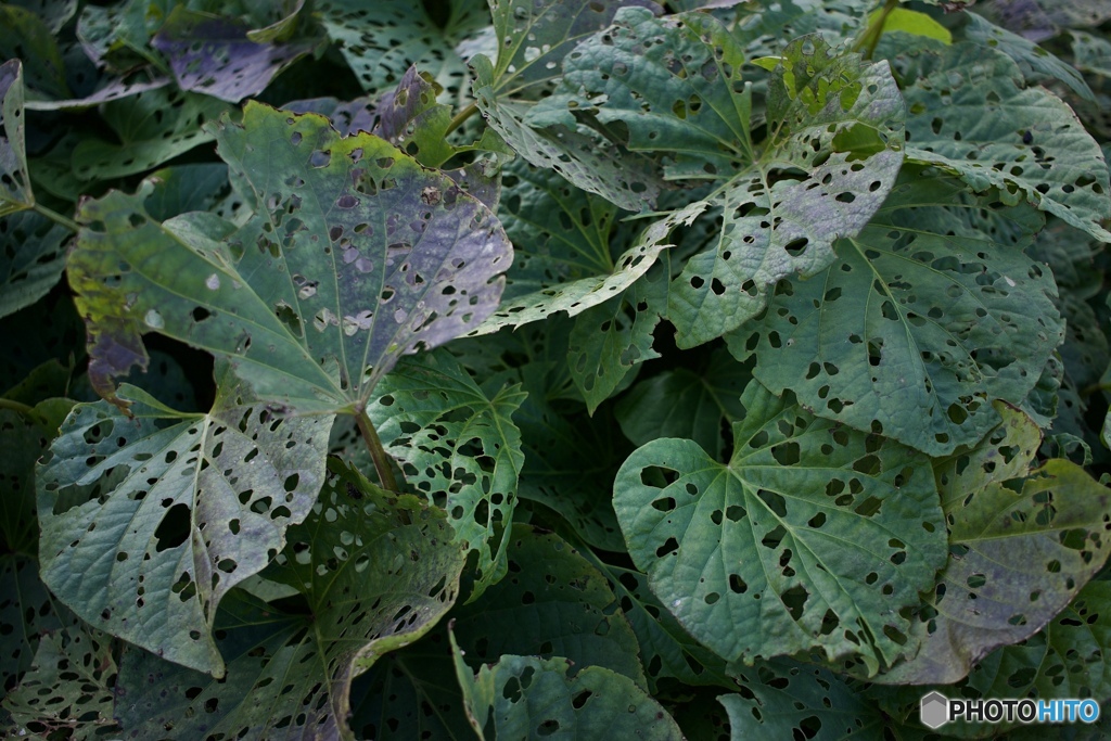 C9E27896-750B-473D-938C-0FDAEF66408D